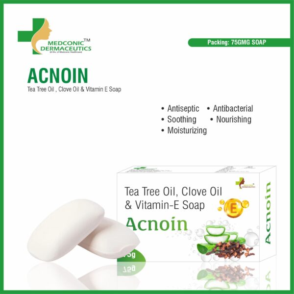 ACNOIN SOAP 75 GM